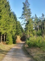 Mitten im Teutoburger Wald verläuft der Hermannsweg, einer der beliebtesten Wanderwege in OWL.