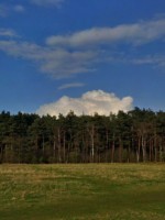 Die Wistinghauser Senne ist Teil des Naturschutzgroßprojektes Senne und Teutoburger Wald.