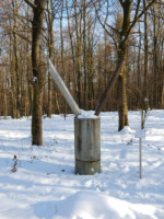 Das Dreieck
Für die Barntruper Spaziergänger ist "Das Dreieck" ein wichtiger Orientierungspunkt auf ihren Wanderwegen.
Die Zahl drei ist sehr vielschichtig und ihr kommt in vielen Bereichen eine besondere Bedeutung zu.
- Mathematik - Primzahl 3
- Musik - Dreivierteltakt
- Literatur - magische Zahl
- Religion - heilige Drei Könige
- Kirche - Dreifaltigkeit
Hier ist das Dreieck mit den drei Naturmaterialien Stein, Metall und Holz dargestellt.
Titel: Das Dreieck
Künstler: Wolfgang Redeker
Sponsor: Steuerberatung Herr Robert Hampe Barntruper Kunstpfad "Dreieck"