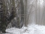 In diesem Gebiet liegt oft noch Schnee, wenn er in tieferen Lagen schon vergangen ist. Nicht umsonst befindet sich in diesem Gebiet eine ca. 8km lange Loipe, die bei entsprechender Witterung gespurt wird. Start- und Zielpunkt der Loipe ist an der Gaststätte „Bauerkamp“.