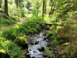 Eigentlich hieß der Bach vor langer Zeit Möllenwasser. Um das Jahr 1711 wurden jedoch in dem Bach, der bei Kempen entspringt Silber gefunden. Es handelte sich jedoch um so geringe Mengen, dass der ernsthafte Abbau nicht weiter verfolgt wurde. Der Name Silberbach ist im Volksmund jedoch geblieben.