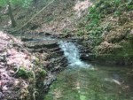 Die Rickbachkaskaden lassen sich gut von der Brücke am Römerweg aus betrachten. Sie befinden sich in unmittelbarer Nähe zum Wasserfall. Rickbachkaskaden