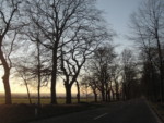 Auch bei Sonnenuntergang zeigt sich die Fürstenallee von einer ganz besonders schönen Seite.