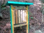 Die Station "Dendrophon" auf dem Naturerlebnispfad am Lügder Schildberg lädt dazu ein, den verschiedenen heimischen Holzarten (Fichte, Eiche, Buche Pappel, Kiefer und Ahorn) Klänge zu entlocken.