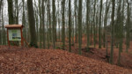 Die Burg Alt-Sternberg ist eine Spornburg auf einem Ausläufer des Mühlingsberges in einer Höhe von 300 m ü.N.N. bei Schwelentrup.