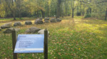 Im Kneipp-Erlebnisparcour befindet sich ein Wassertretbecken, ein Barfuß-Sinnespfad, ein Meditationsplatz und eine Tautretwiese.