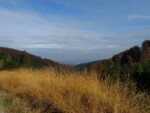 Blick vom großen Gauseköterberg Richtung Detmold. Mit ca. 367m Höhe ist der Berg zwischen Detmold und Schlangen eine der großen Erhebungen im Teutoburger Wald.