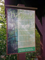 Den Spruch finden Sie am Wanderparkplatz an der Eschenbrucher Strasse bei Lügde. Auf dem Schild steht geschrieben: "Dr. Wald / Wenn ich Kopfschmerz habe und Neurosen, / wenn ich mich unverstanden fühle oder alt, / wenn mich die holden Musen nicht umkosen, /dann konsultiere ich den Doktor Wald. / Er ist mein Augenarzt und mein Psychiater, / mein Orthopäde und mein Internist, / Er hilft mir rasch von jedem Kater, / ob er aus Kummer oder Cognac ist. / Er hält nicht viel von Pülverchen und Pillen, / doch umso mehr von Luft und Sonnenschein. / Und kaum umfängt mich seine duft'ge Stille, / raunt er mir zu: Nun atme mal schön ein. / Ist seine Praxis auch sehr überlaufen, / in seiner Obhut läuft man sich gesund. / Und Kreislaufschwache, die noch heute schnaufen, / sind schon morgen ohne klinischen Befund. / Er bringt uns ganz schnell auf die Beine, / und unsere Seelen in's Gleichgewicht. / Verhindert Fettansatz und Gallensteine, /nur Hausbesuche macht er nicht."