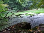 Verwunschen liegen die Kellerteiche am Rande der Kurstadt Bad Salzuflen im Wald, kurz vor Herford.