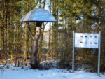 Dieser Pilz, als Kombination der Naturstoffe Metall und Holz, soll dokumentieren, dass der Barntruper ein fleißiger Pilzsucher ist und sehr geschickt darin ist, die guten Fundstellen geheim zu halten.
Um den Nicht-Pilz-Kundigen die Suche zu erleichtern, haben wir hier die Barntruper Pilzlegende installiert, bei der man sich über die wichtigsten Arten informieren kann.
Ein Pils in der Tannenklause sollte man trinken, und es ist garantiert nicht giftig!
Titel: Der Pilz
Künstler: Wolfgang Redeker
Sponsor: Marketing Consulting Barntruper Kunstpfad "Der Pilz"