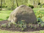 Den Findling finden Sie am Dorfteich mitten in Laßbruch. Auf ihm steht geschrieben:"1186-1986 Lassbruch"