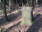 Die lippische Rose ist trotz der Witterung der vielen Jahre noch gut zu erkennen. Der Grenzstein steht tief im Wald an der Grenze des Lipperlandes.