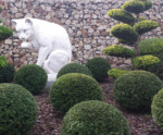 Die weiße Katze, als Symbol für Reinlichkeit, war das Markenzeichen der Hoffmanns Stärkefabriken.