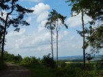 Nur wenige Meter von der Vogeltaufe aus entfernt auf dem Hermannsweg ist diese schöne Aussicht zu genießen.