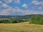 Auf dem Weg um das Freilichtmuseum LWL in Detmold können Sie an vielen Stellen einen fantastischen Blick auf das lippische Umland genießen. An dieser Stelle blicken Sie direkt zum Sender "Teutoburger Wald" und auf das Hermannsdenkmal auf der Grotenburg.