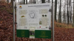 Diese Informationstafel finden Sie auf dem Mythenweg direkt am Eingang zur Wallanlage der Herlingsburg.