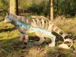 Auf dem ca. 5km langen Themenweg "Auf den Spuren der Wildkatze" in Lage-Hörste finden Sie mehrere verschiedene Katzenskulpturen. Auf dem Schild vor dieser Skulptur ist zu lesen: "Künstlerin : Tanja Blattgerste / Objekt : "Katzen-Augen-Blicke""