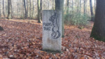 Auf einer kleinen Lichtung zwischen Vierenberg und Asenberg versteckt, unweit des Soldatenweges und des Heuweges, liegt der Fuchstanz. Eine Bank lädt zur Pause ein.