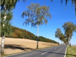 Einige Meter weiter auf der B238 Richtung Rinteln finden Sie einen Informationspunkt zum Thema Alleen in Lippe.