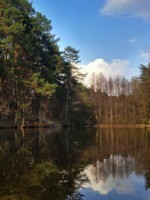 Der "Westerholter Bach" ist ein Nebenfluss des Ölbachs und durchfliesst das Naturschutzgebiet „Trockentäler, Kastentäler und Dünen des oberen Westerholter Baches“.