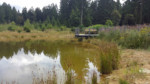 Unweit der Waidmannsheil-Schutzhütte finden Sie diesen Teich. Eine Relaxliege und ein kleiner Steg machen diese Stelle im Schieder-Schwalenberger Wald zu einem idyllischen Ruheplatz.