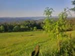 Auf dem Rundwanderweg um den Köterberg in Lügde genießen Sie schöne Aussichten auf das lippische Umland. Von dieser Stelle aus haben Sie Sicht über die Köterbergstraße hinweg in Richtung Rischenau, Hummersen und Polle.