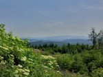 Von dieser Stelle aus hat man bei gutem Wetter eine Aussicht bis zum Köterberg in Lügde.