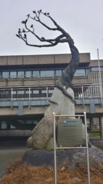 Eine Plastik aus Granit und Bronze,
aufgestellt vor dem Bad Salzufler Rathaus,
geschaffen von Herrn Prof. Axel Seyler, Fachhochschule Detmold,
der Öffentlichkeit übergeben am 8.9.1984. Die Grundlagen dieses Gemeinwesens, also die Wurzeln des Lebensbaum, symbolisieren:
1. Das Ländliche - durch den Portraitkopf des Ackerbürgers und Salzufler Originals Schmiedemeister Peter,
2. den Kurbetrieb - durch den Portraitkopf des Medinzinrates Heinrich Hasse, dem Begründer des Bades, und
3. das Städtische - durch den Portraitkopf des Apothekers Rudolph Brandes.