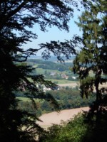 Blick durch die Bäume in die Ferne. Aussichtpunkt an der Herlingsburg auf dem Burgensteig bei Lügde.
