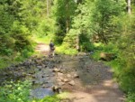 Auf dem Wanderweg am Silberbach befindet sich diese Furt. Der Bach kreuzt den Wanderweg. Festes Schuhwerk ist an dieser Stelle hilfreich, um trockenen Fußes auf die andere Seite zu gelangen.