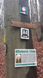 Auf dem Schild steht geschrieben: "Hilteborch-Steig - Zur Erinnerung an die Burgherrin (Gemahlin des Grafen Uffo), die der Legende nach Burg und Gemahl mit einer klugen und tapferen Tat vor ihren Feinden rettete (um das Jahr 890). Sie hat danach auch die Eichel gesät, die zur mächtigen und wundertätigen Schlosseiche heranwuchs und erst im Jahr 1937 einem Unwetter zum Opfer fiel.
Bis dahin war die Eiche Ziel vieler Wundergläubiger und der Dorfjugend, die hier zu Ostern zum fröhlichen Feiern zusammen kam. Der Sage nach soll anstelle der Schlosseiche nie wieder ein Baum oder ein Strauch wachsen, Seit 1993 versuchte die Vereinsgemeinschaft der "Bergdörfer" mehrfach eine neue Schlosseiche zu pflanzen. Bis heute ohne nachhaltigen Erfolg."