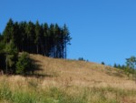 Hoch in den Wald, rauf auf die Herlingsburg geht es auf Weg, der immer wieder mit schönen Aussichten überrascht.